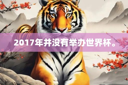 2017年并没有举办世界杯。