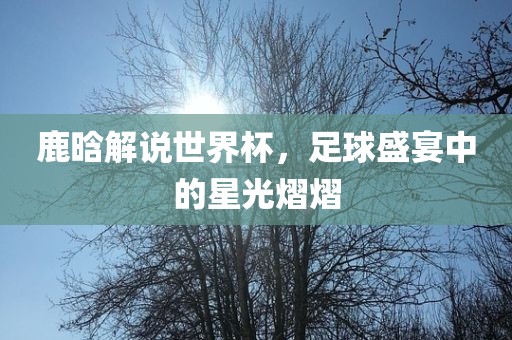 鹿晗解说世界杯，足球盛宴中的星光熠熠