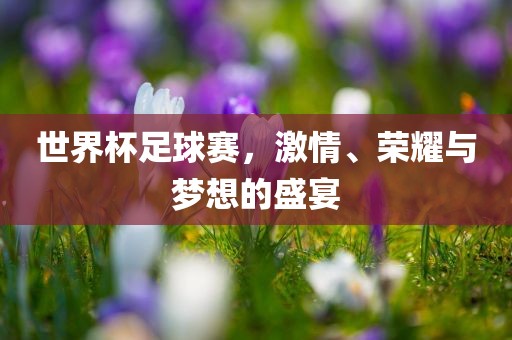 世界杯足球赛，激情、荣耀与梦想的盛宴