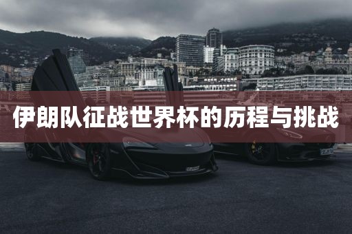 伊朗队征战世界杯的历程与挑战