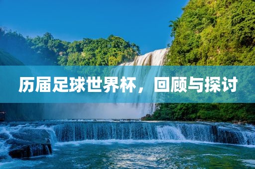 历届足球世界杯，回顾与探讨洪湖市顺升工程机械租赁有限公司