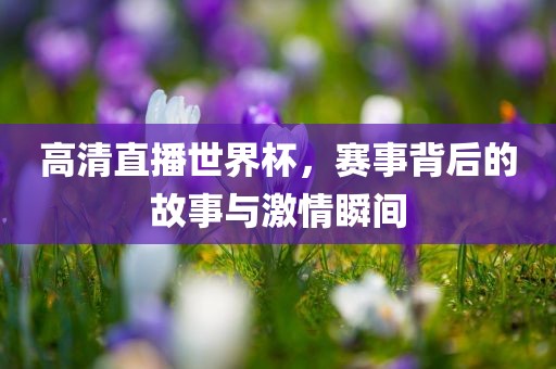 高清直播世界杯，赛事背后的故事与激情瞬间