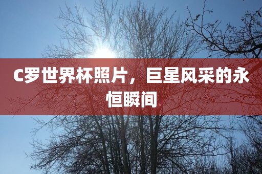 C罗世界杯照片，巨星风采的永恒瞬间