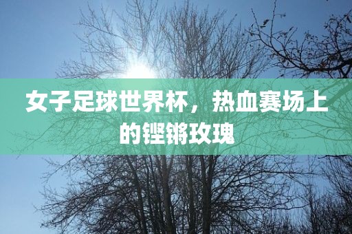 女子足球世界杯，热血赛场上的铿锵玫瑰洪湖市顺升工程机械租赁有限公司