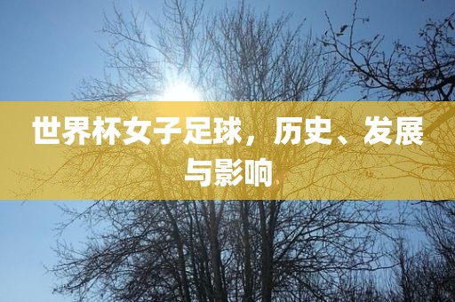 世界杯女子足球，历史、发展与影响