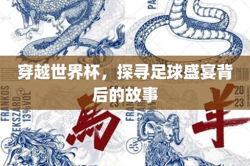 穿越世界杯，探寻足球盛宴背后的故事