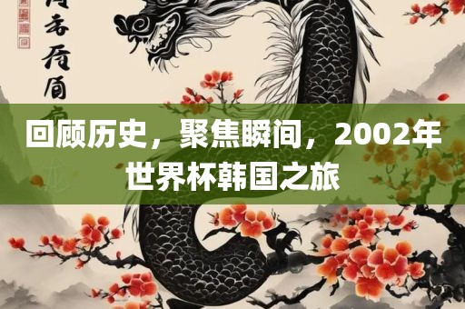 回顾历史，聚焦瞬间，2002年世界杯韩国之旅