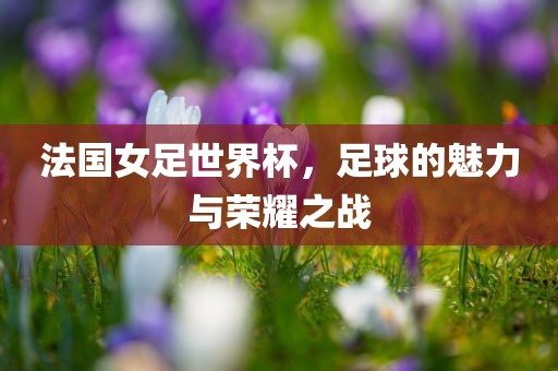 法国女足世界杯，足球的魅力与荣耀之战