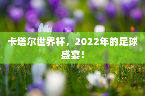 卡塔尔世界杯，2022年的足球盛宴！