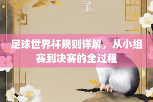 足球世界杯规则详解，从小组赛到决赛的全过程