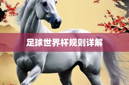 足球世界杯规则详解