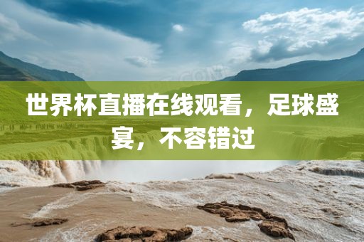 世界杯直播在线观看，足球盛宴，不容错过洪湖市顺升工程机械租赁有限公司