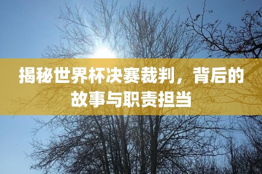 揭秘世界杯决赛裁判，背后的故事与职责担当