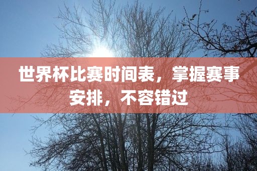 世界杯比赛时间表，掌握赛事安排，不容错过