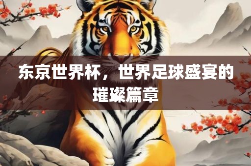 东京世界杯，世界足球盛宴的璀璨篇章