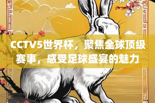 CCTV5世界杯，聚焦全球顶级赛事，感受足球盛宴的魅力