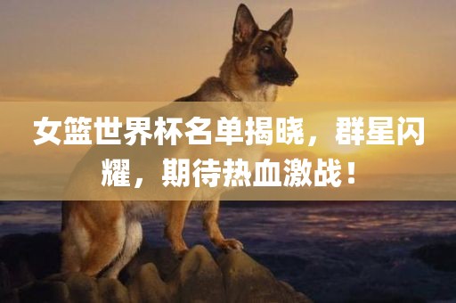 女篮世界杯名单揭晓，群星闪耀，期待热血激战！