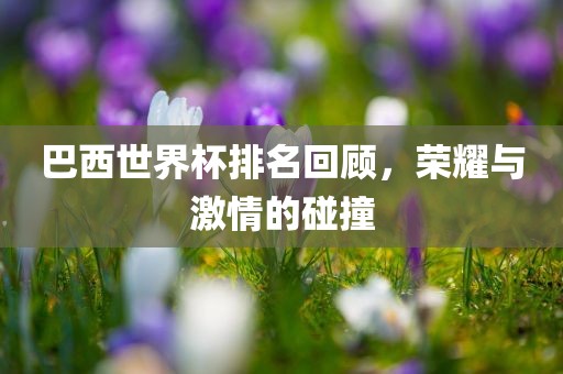 巴西世界杯排名回顾，荣耀与激情的碰撞