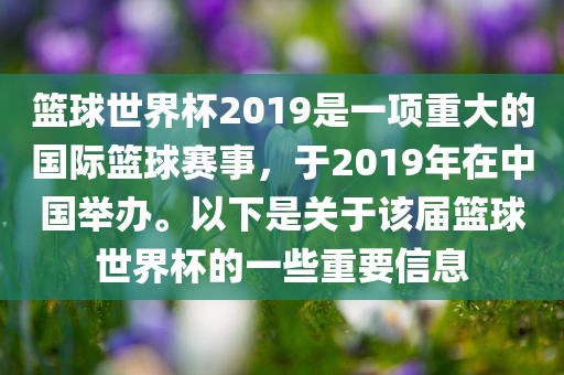 篮球世界杯2019是一项重大的国际篮球赛事，于2019年在中国举办。以下是关于该届篮球世界杯的一些重要信息