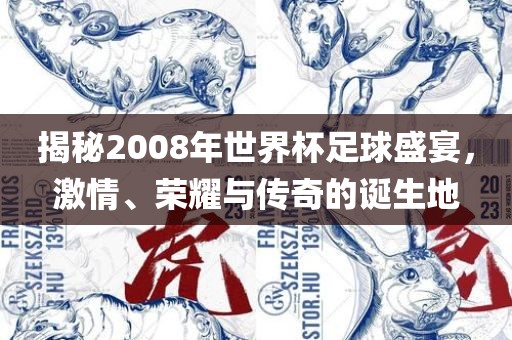 揭秘2008年世界杯足球盛宴，激情、荣耀与传奇的诞生地
