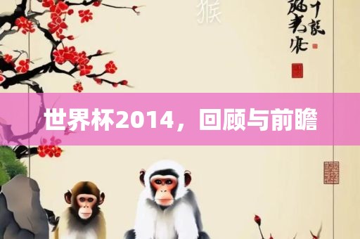 世界杯2014，回顾与前瞻