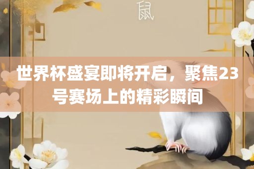 世界杯盛宴即将开启，聚焦23号赛场上的精彩瞬间