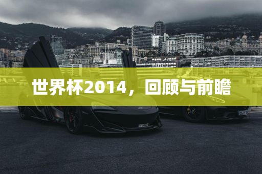 世界杯2014，回顾与前瞻