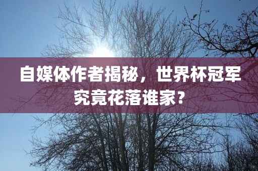 自媒体作者揭秘，世界杯冠军究竟花落谁家？