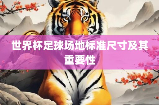 世界杯足球场地标准尺寸及其重要性