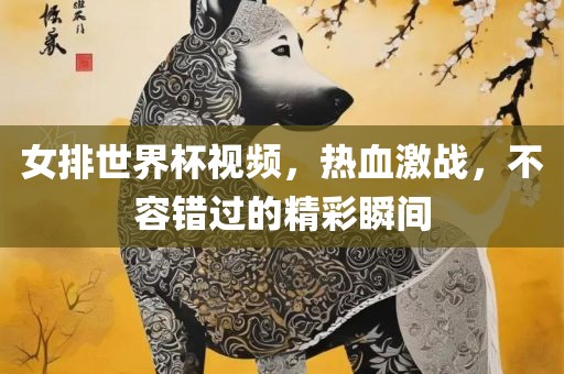 女排世界杯视频，热血激战，不容错过的精彩瞬间