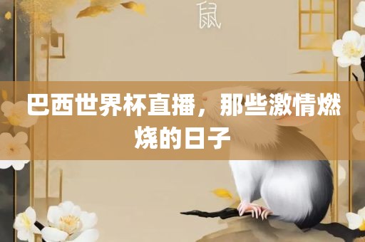 巴西世界杯直播，那些激情燃烧的日子