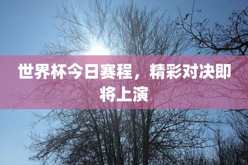 世界杯今日赛程，精彩对决洪湖市顺升工程机械租赁有限公司即将上演