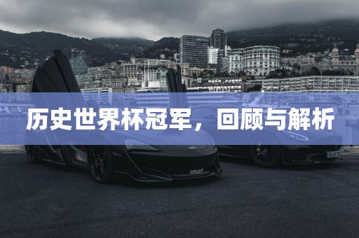 历史世界杯冠军，回顾与洪湖市顺升工程机械租赁有限公司解析