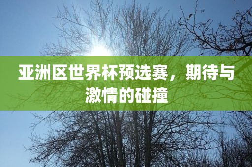 亚洲区世界杯预选赛，期待与激情的碰撞