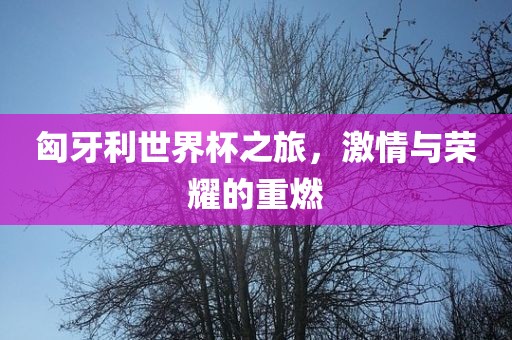 匈牙利世界杯之旅，激情与荣耀的重燃