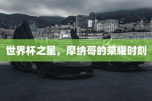 世界杯之星，摩纳哥的荣耀时刻