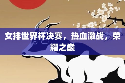 女排世界杯决赛，热血激战，荣耀之巅