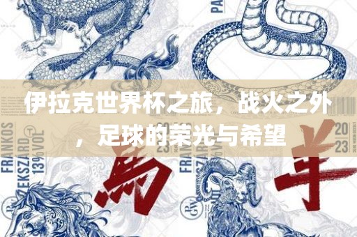 伊拉克世界杯之旅，战火之外，足球的荣光与希望