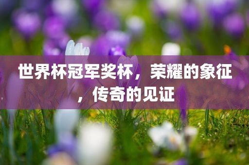 世界杯冠军奖杯，荣耀的象征，传奇的见证