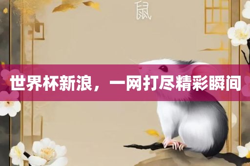 世界杯新浪，一网打尽精彩瞬间洪湖市顺升工程机械租赁有限公司