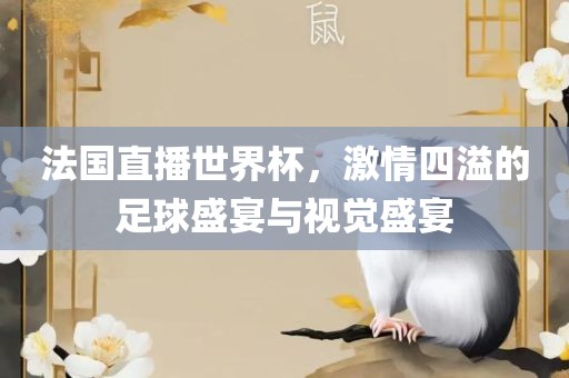法国直播世界杯，激情四溢的足球盛宴与视觉盛宴