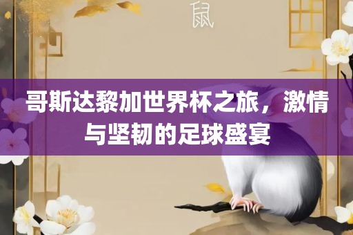 哥斯达黎加世界杯之旅，激情与坚韧的足球盛宴