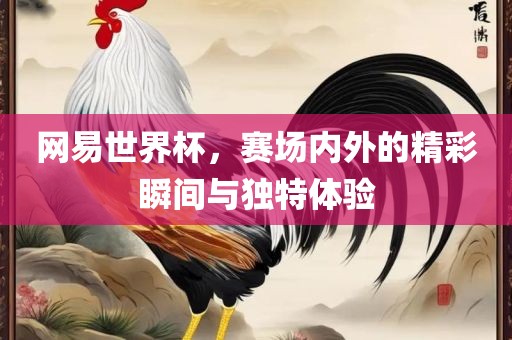 网易世界杯，赛场内外的精彩瞬间与独特体验