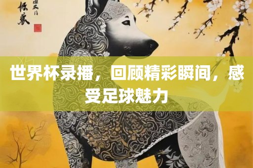 世界杯录播，回顾精彩瞬间，感受足球魅力洪湖市顺升工程机械租赁有限公司