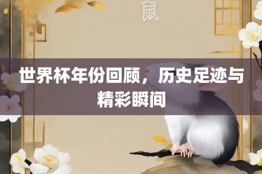 世界杯年份回顾，历史足迹与精彩瞬间洪湖市顺升工程机械租赁有限公司