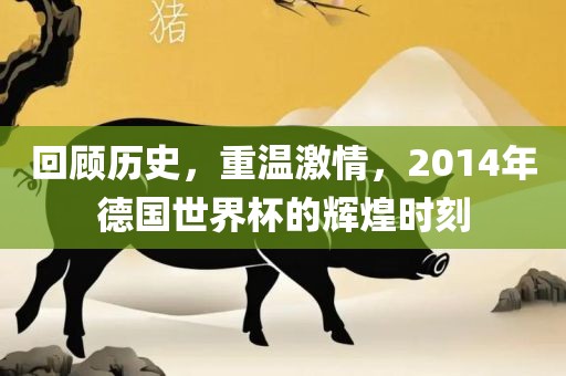 回顾历史，重温激情，2014年德国世界杯的辉煌时刻