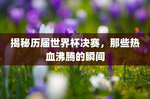 揭秘历届世界杯决赛，那些热血沸腾的瞬间