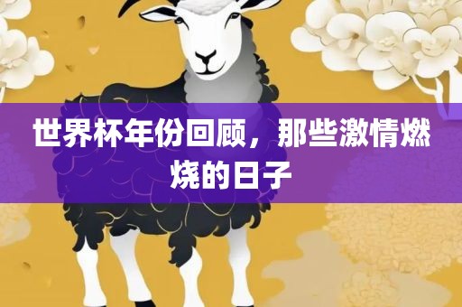 世界杯年份回顾，那些激情燃烧的日子