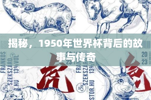 揭秘，1950年世界杯背后洪湖市顺升工程机械租赁有限公司的故事与传奇