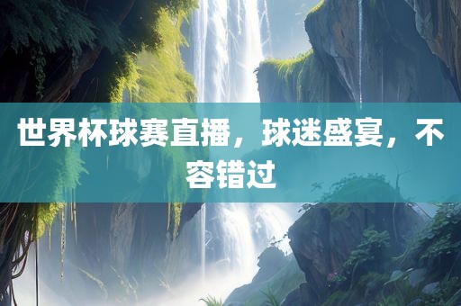 世界杯球赛直播，球迷盛宴，不容错过